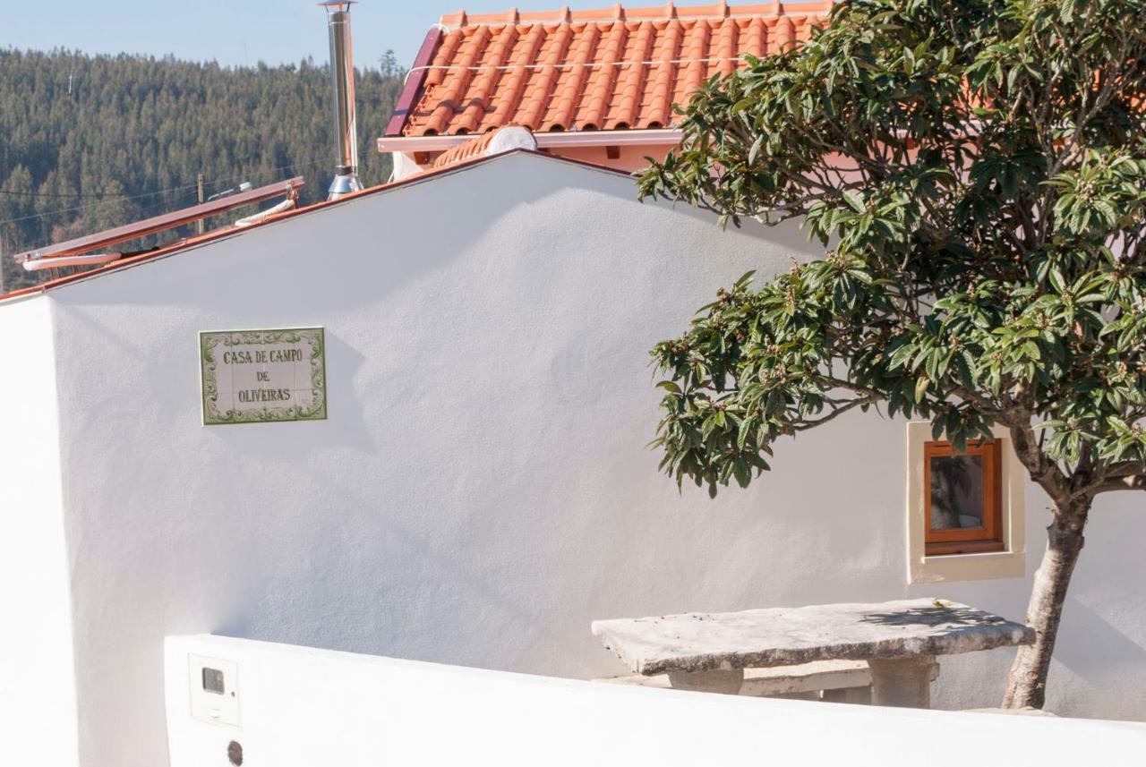 Casa De Campo De Oliveiras Penela Bagian luar foto